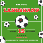 Landskamp med LigeLiv 2025